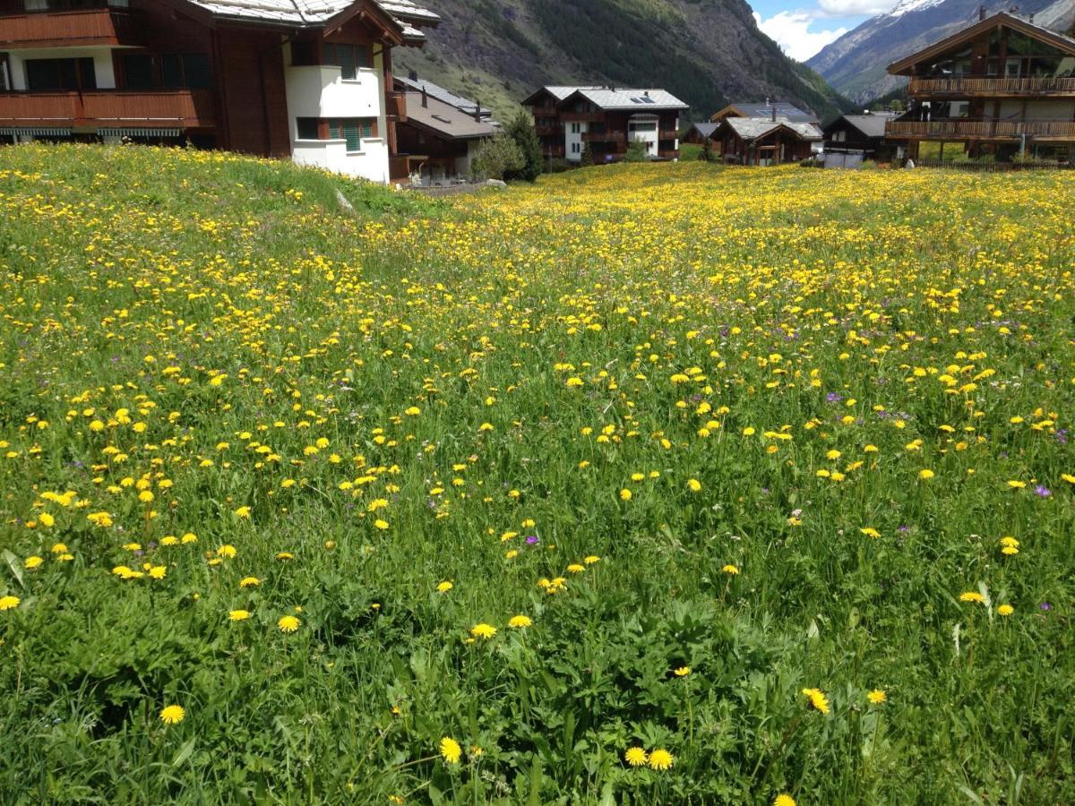 Apartmán Haus Marico Zermatt Exteriér fotografie